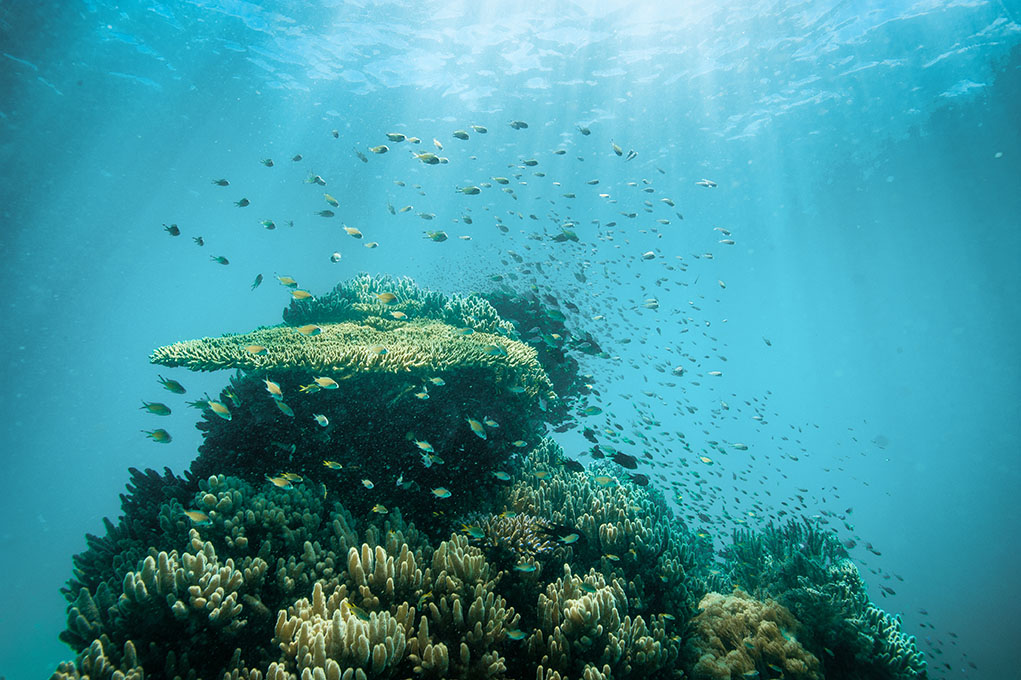 KAWASAN LAUT TERLINDUNGI