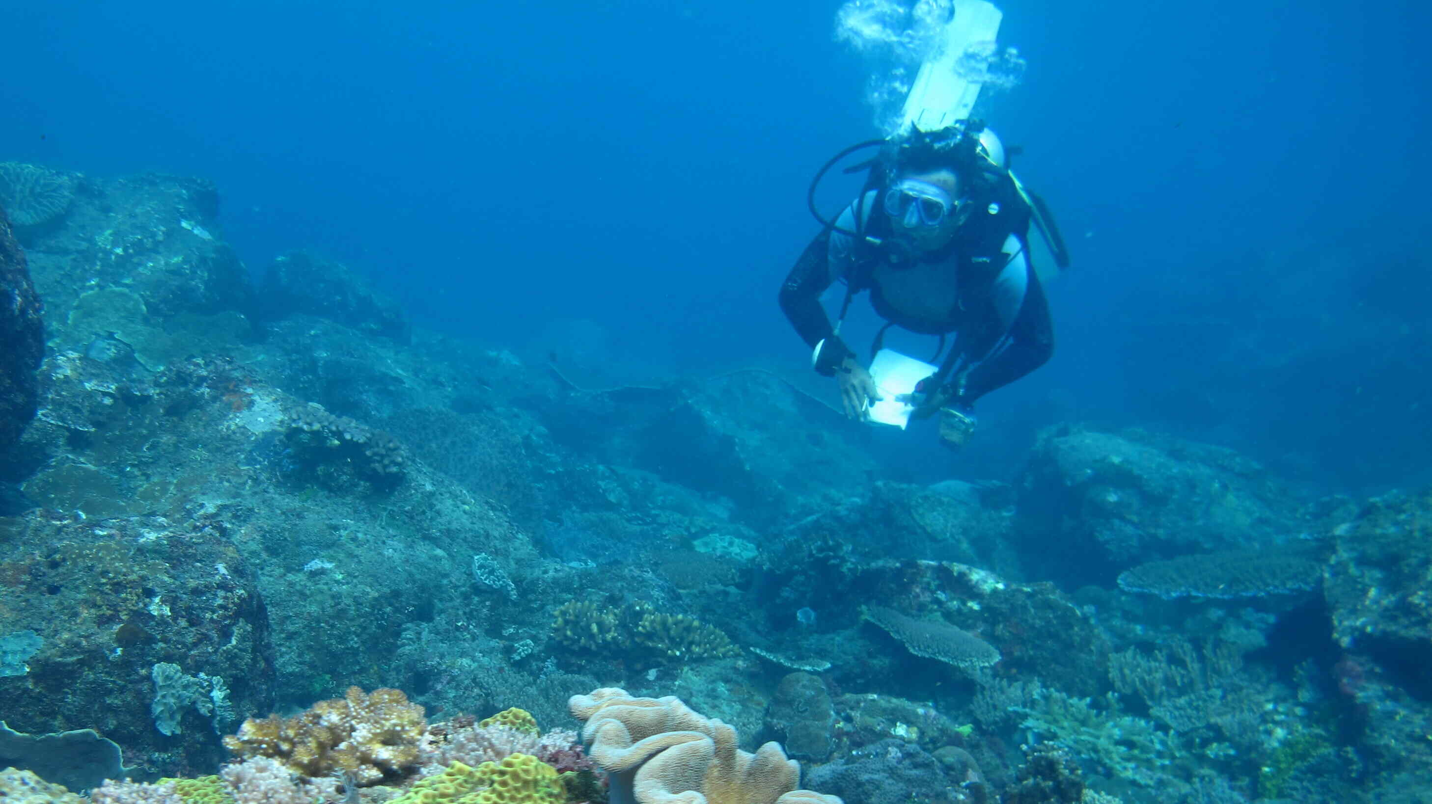 LAUT MENARBU