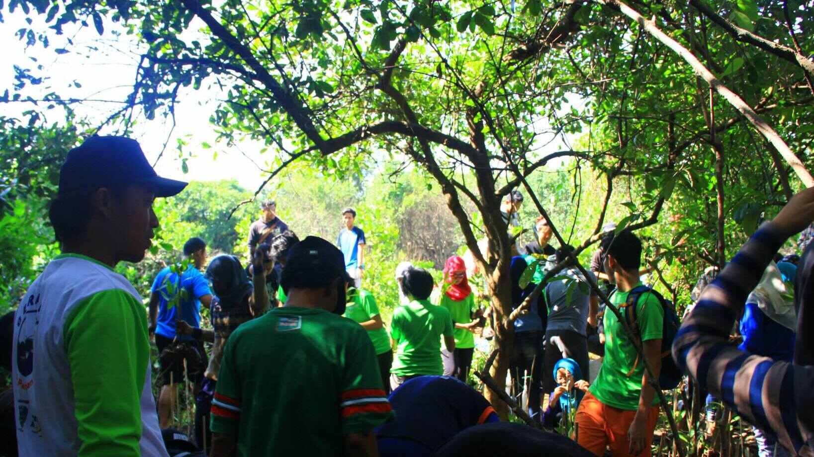 MANUSIA DAN SATWA
