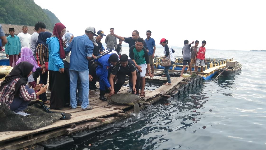 ALOR FISHERMEN RELEASING ACCIDENTALLY CAUGHT TURTLES