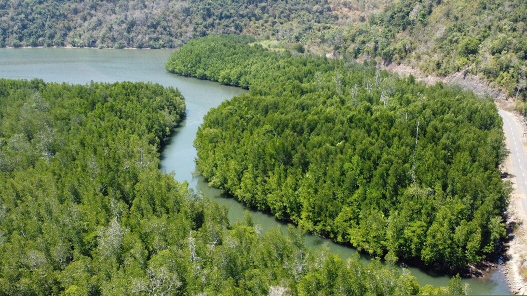 Pemberdayaan Masyarakat Menjaga Ekosistem Mangrove di Dusun Rangko