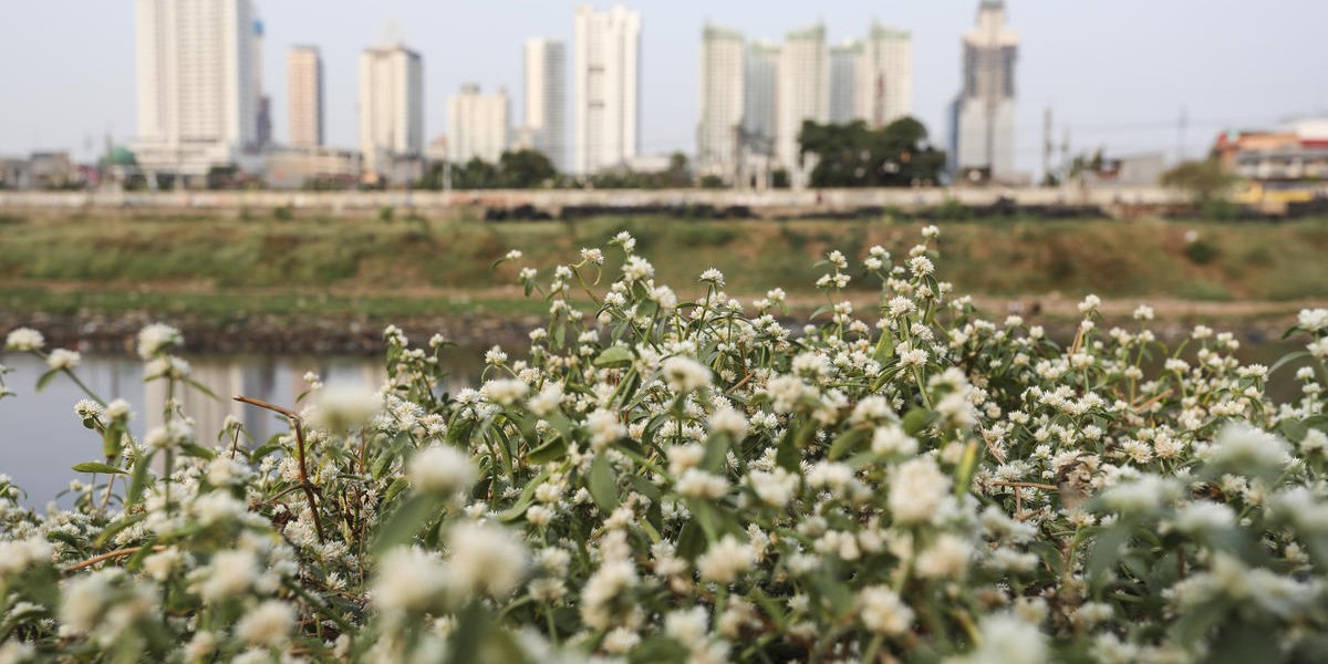 © WWF-Indonesia / Yunaidi Joepoet