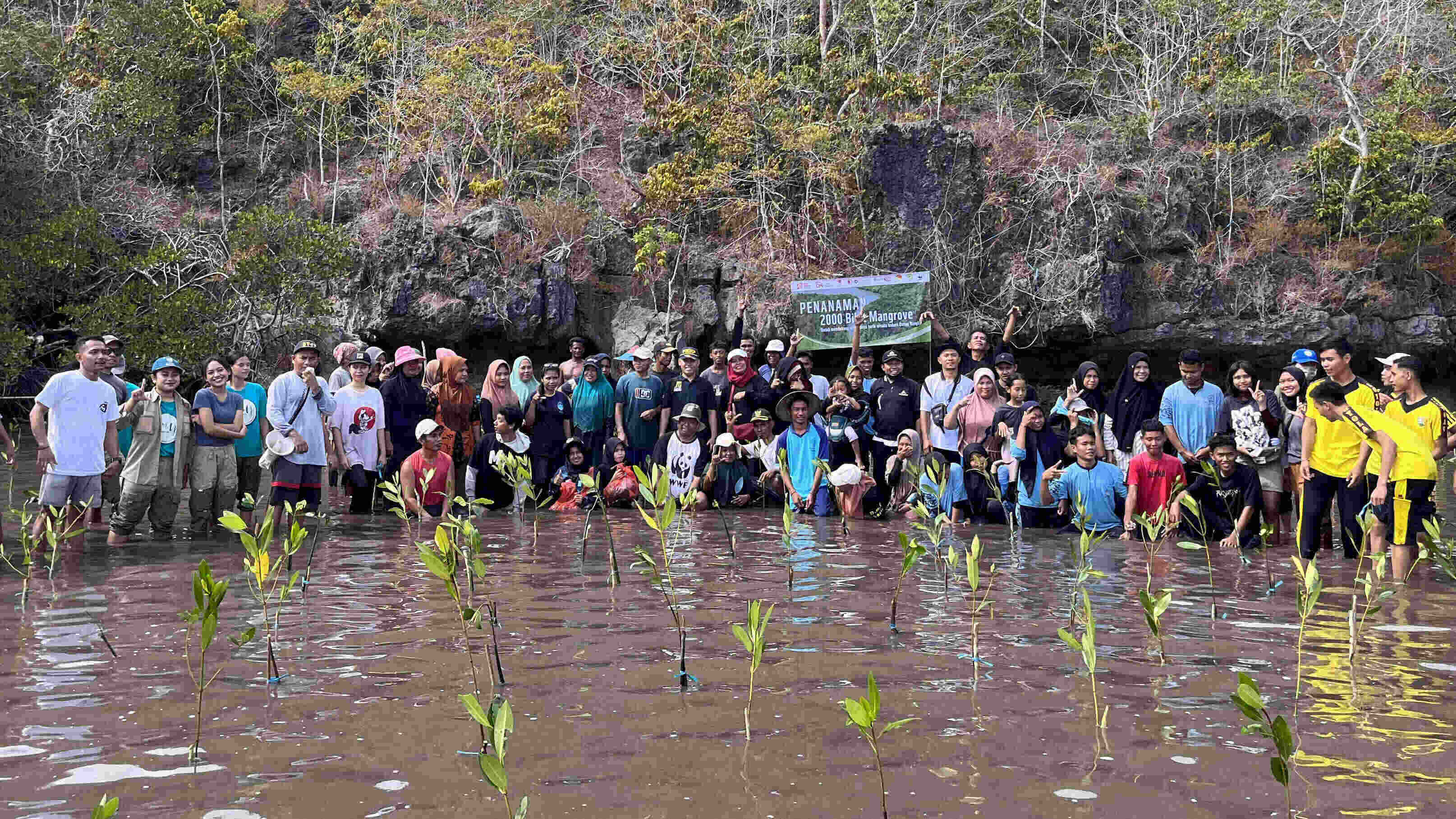 1000 Mangrove