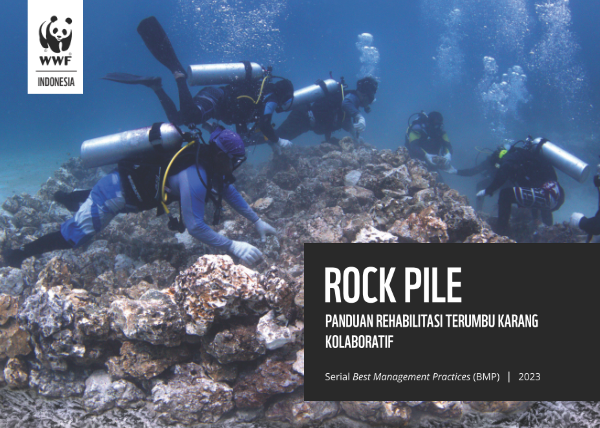 BMP Rockpile