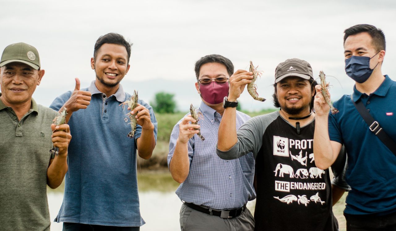 BANGKITKAN KEJAYAAN UDANG WINDU, SEJUMLAH PEMBUDIDAYA DI BREBES MENJADI PERCONTOHAN BUDIDAYA UDANG YANG BAIK