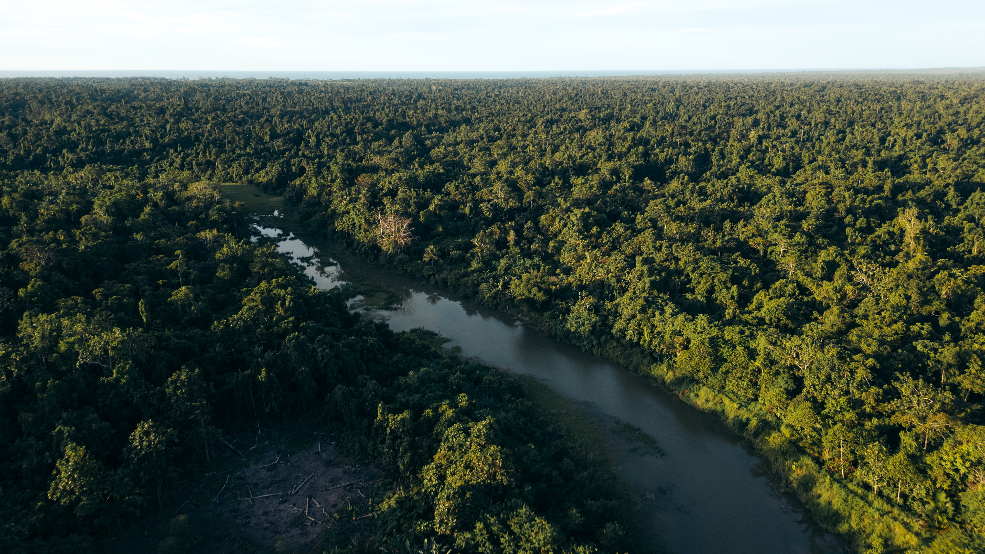 © WWF-Indonesia / Julian Hahne