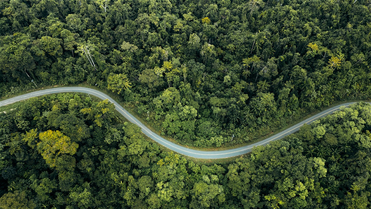 © WWF-Indonesia / Julian Hahne