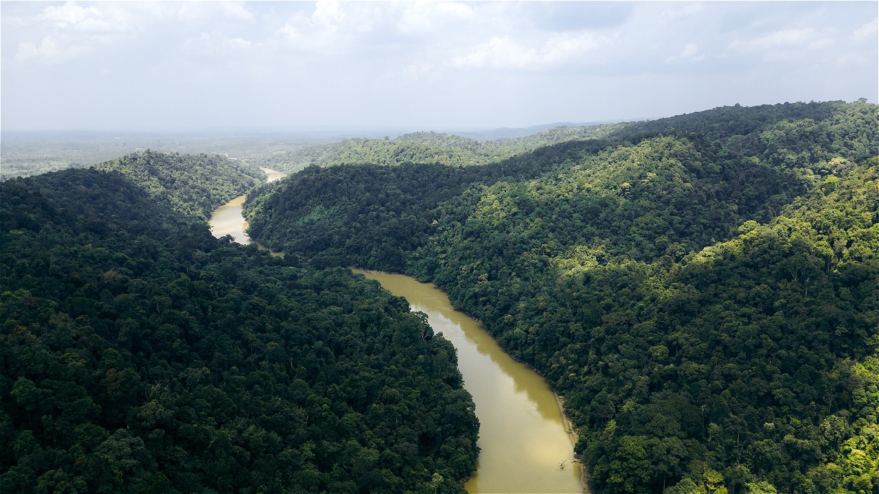 © WWF-Indonesia / Julian Hahne