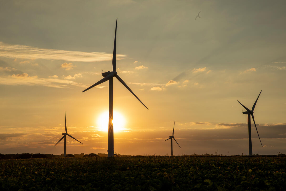 Wind turbines are backlit by the setting sun in Norfolk, UK.