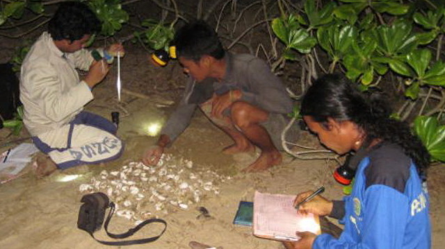 POKMASWAS SORONG SELATAN