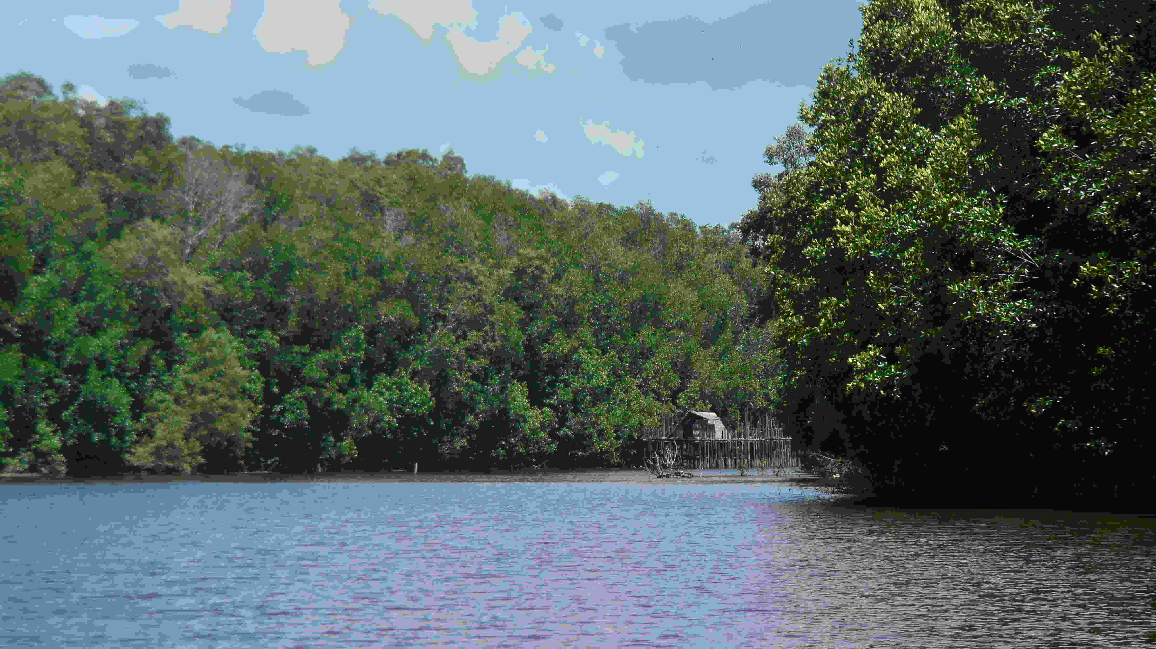 KADIN INDONESIA DAN WWF-INDONESIA