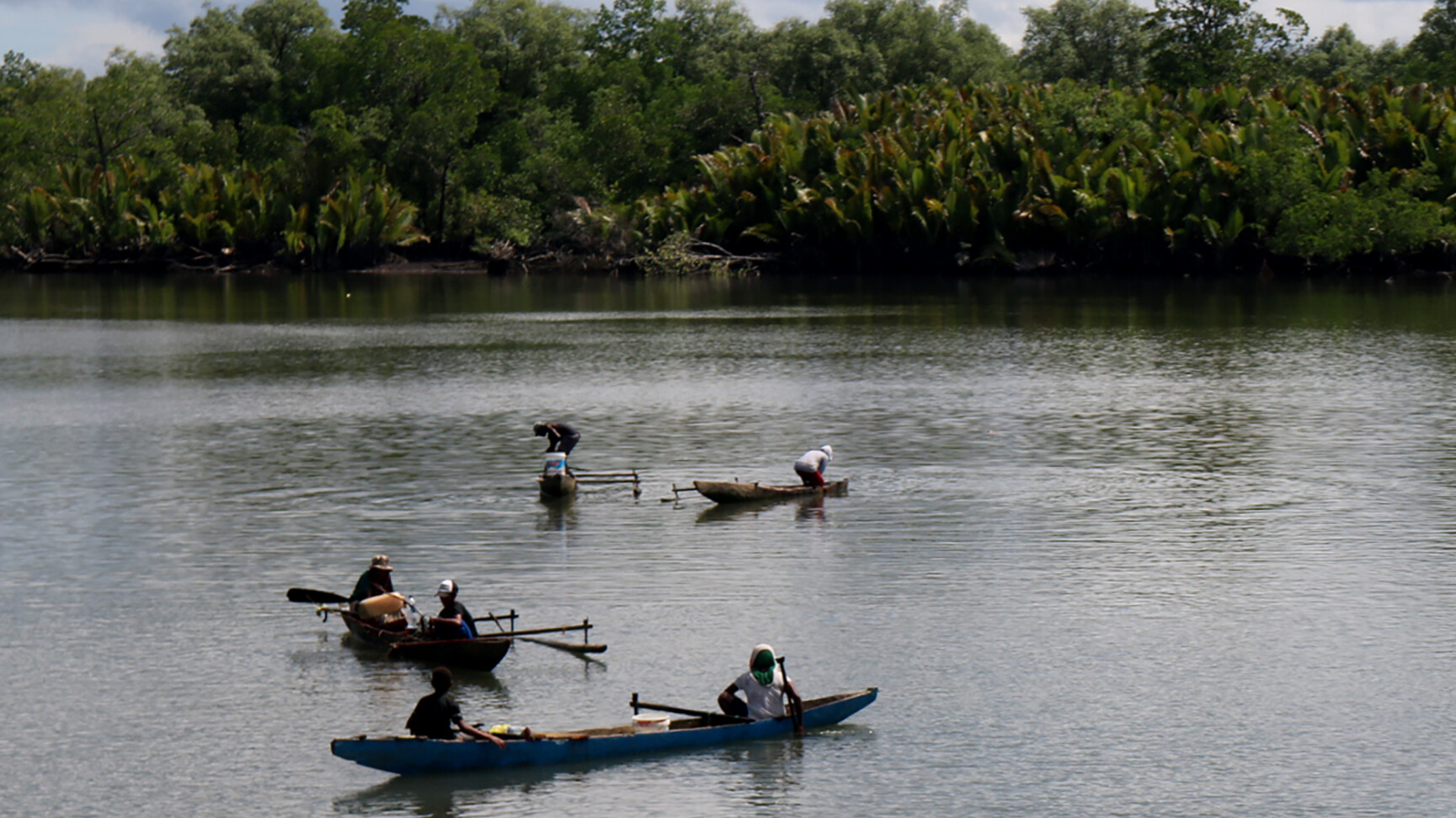 HUTAN MANGROVE SORONG SELATAN