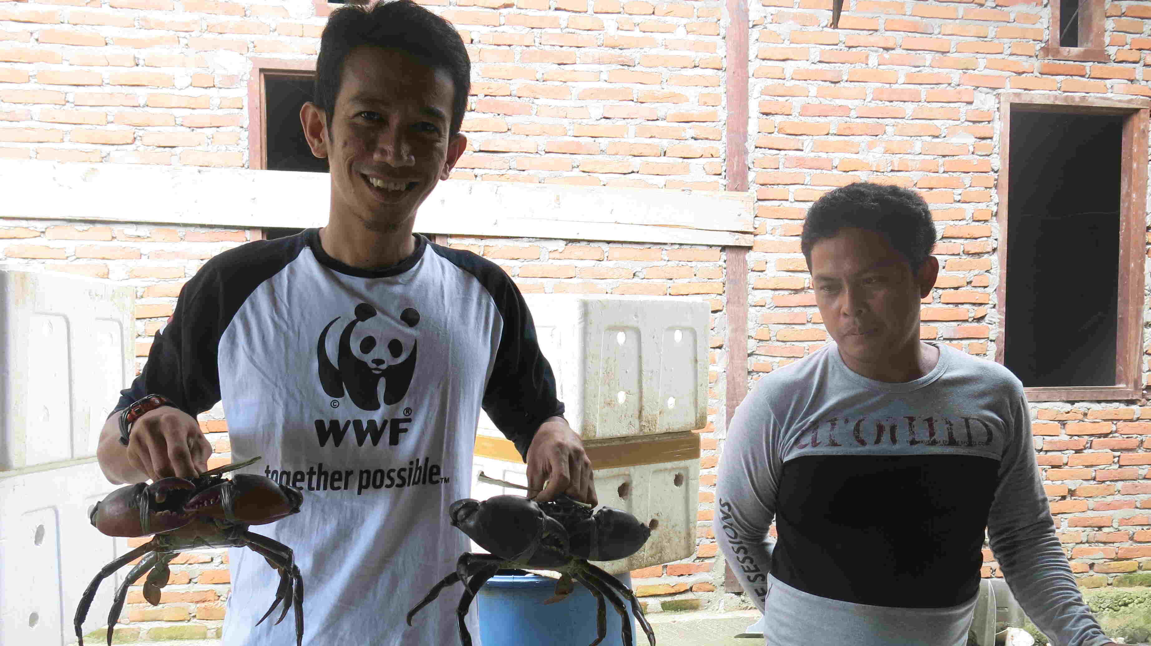 KEPITING BAKAU
