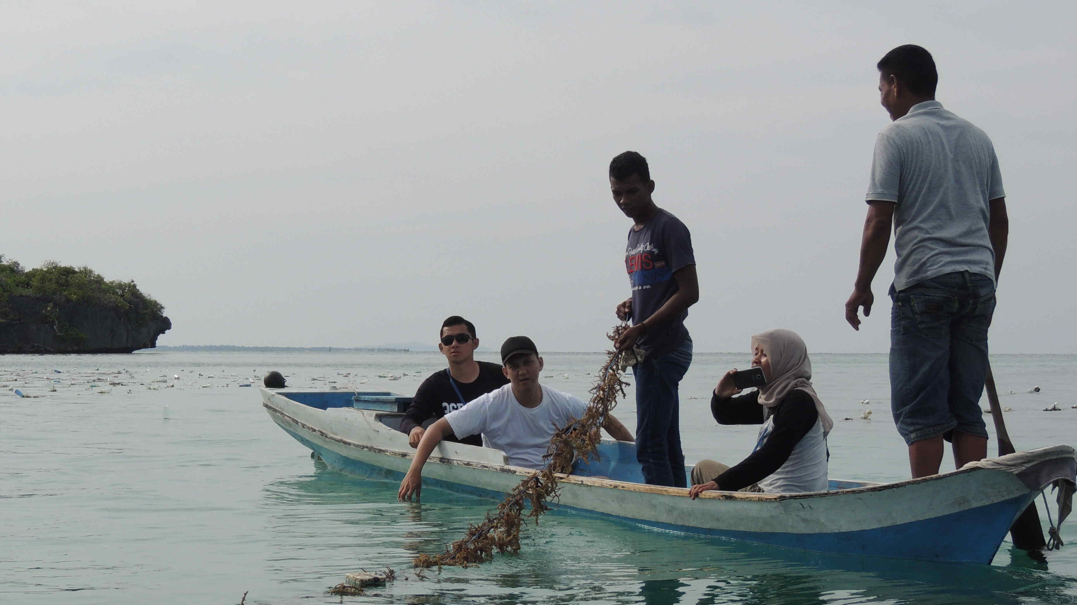 PENANGANAN MAMALIA LAUT