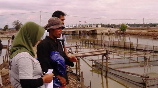 PRODUSEN UDANG