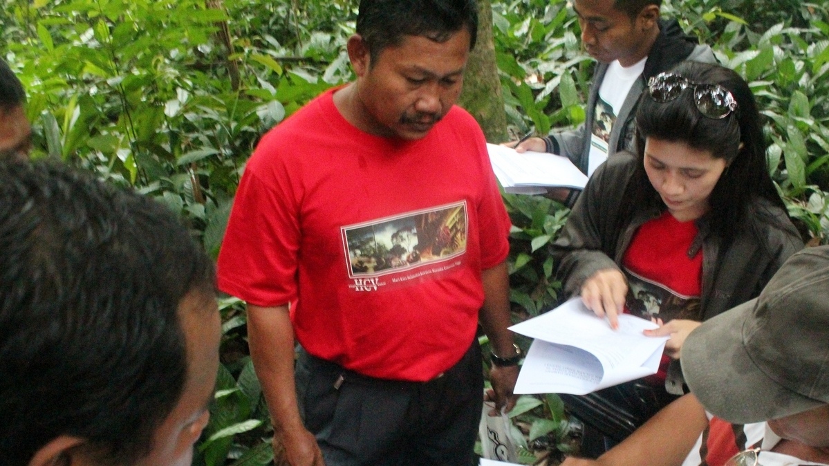 KONSERVASI ORANGUTAN