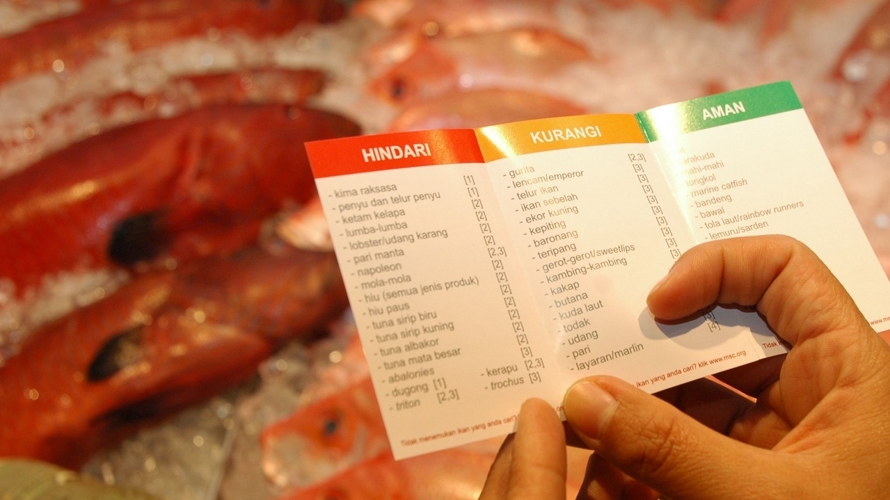 SEAFOOD