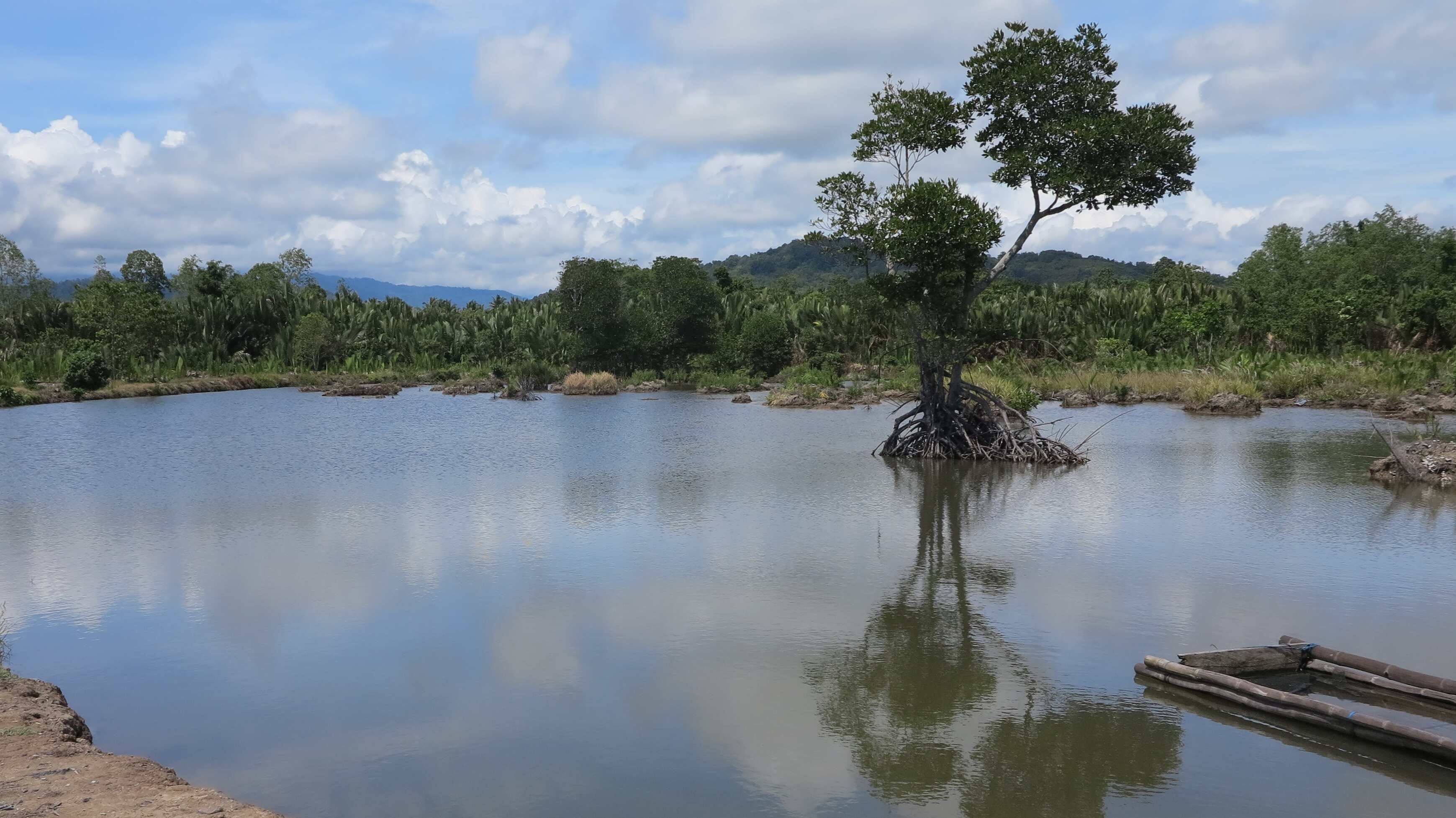 PEMELIHARAAN IKAN BANDENG