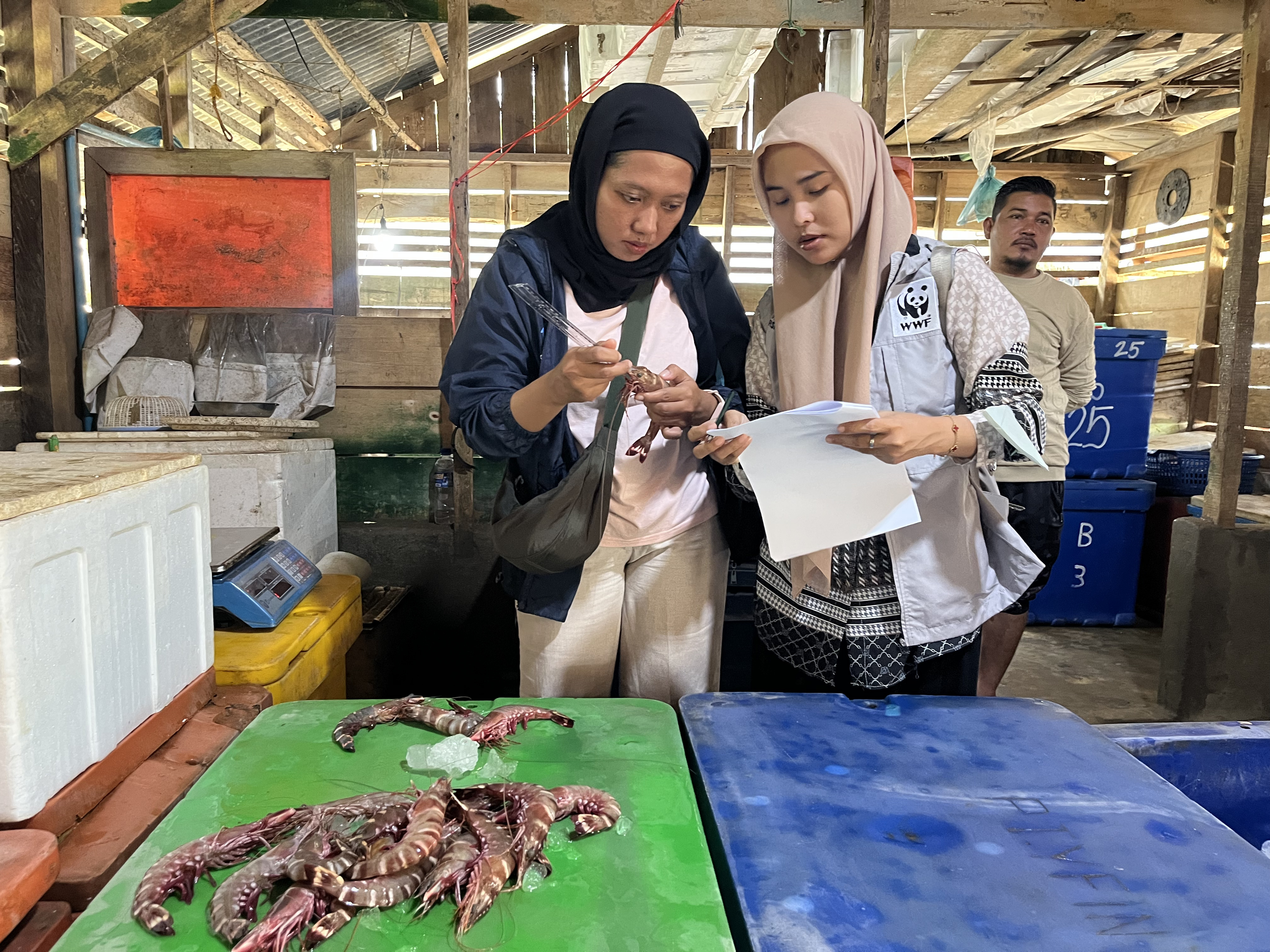 WWF-Indonesia / Fauca Khairul Ramadhan