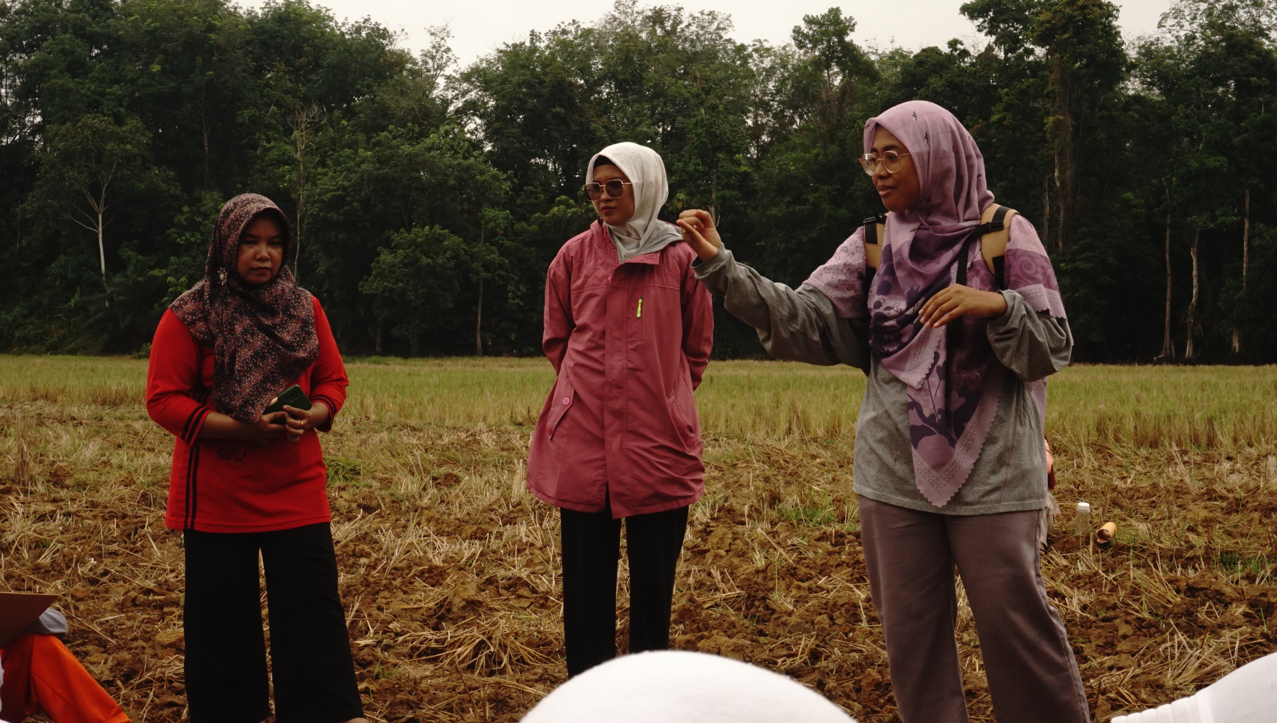 Kelas Berkelanjutan