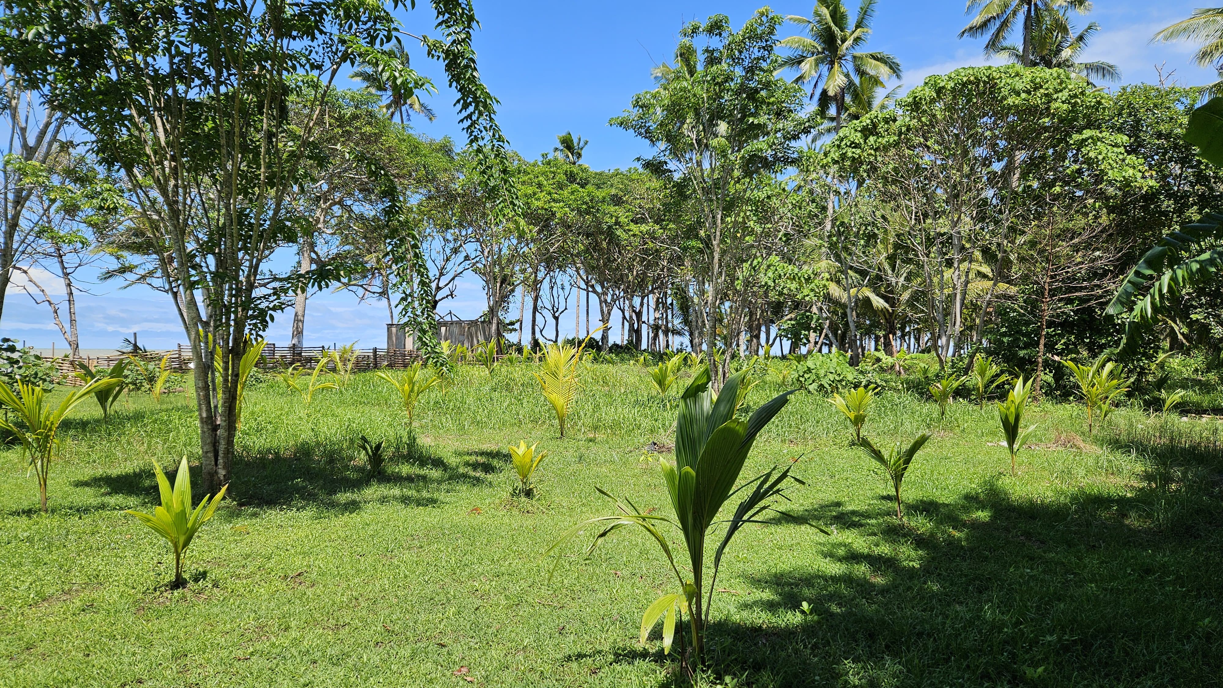 Pantai Arem, salah satu lokasi Restorasi