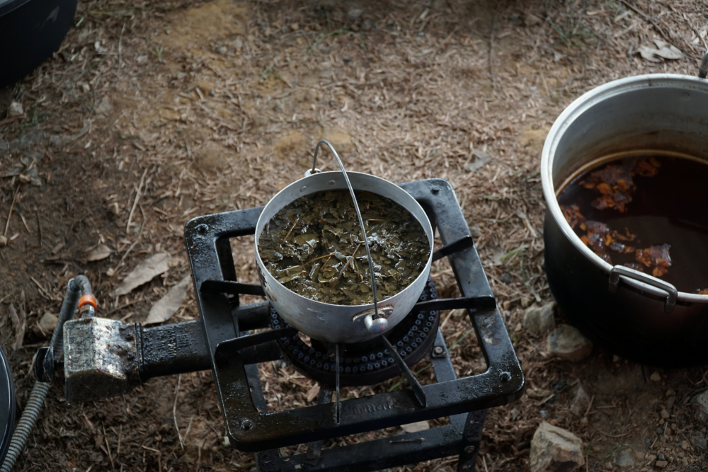 Daun-daunan sebagai bahan pewarna alami
