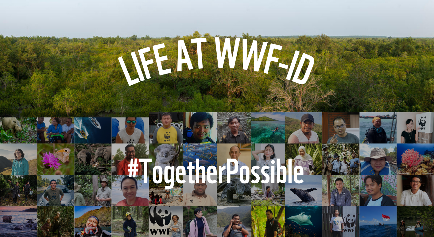 Life at WWF