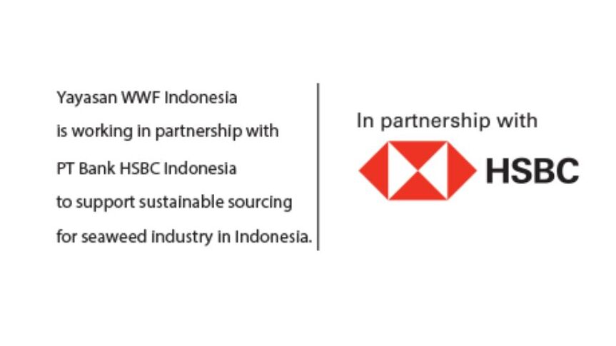 HSBC : SUSTAINABLE SEAWEED INDUSTRY