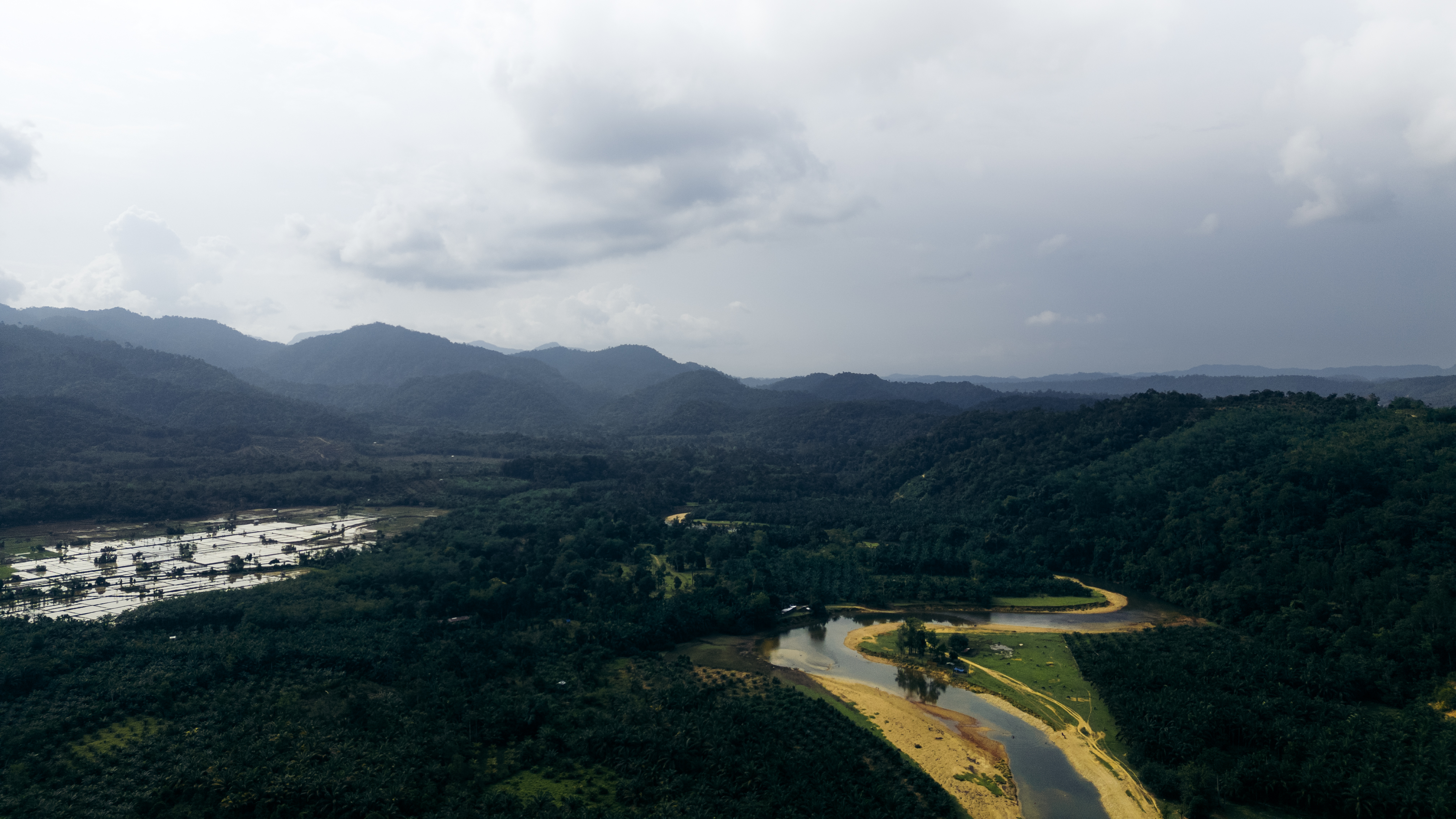 CORPORATE PARTNERSHIP REPORT FY 2019