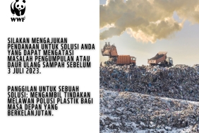 POLUSI PLASTIK