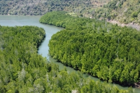 Community Empowerment to Protect Mangrove Ecosystem in Dusun Rangko