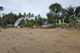 Pesisir pantai 