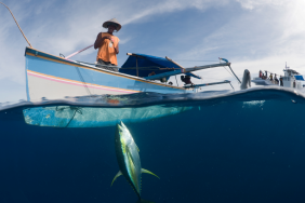 fishing activity