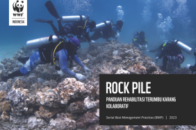 BMP Rockpile