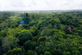 © WWF-Indonesia / Julian Hahne