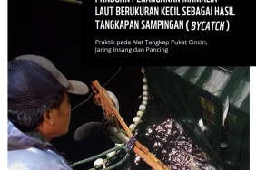  BMP: GUIDELINES FOR HANDLING SMALL MARINE MAMMALS AS BYCATCH - PRACTICES IN PURSE SEINE, GILL NET AND LONGLINE GEAR