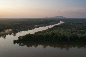 © WWF-Indonesia / Yunaidi Joepoet