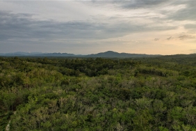 © WWF-Indonesia / Yunaidi Joepoet