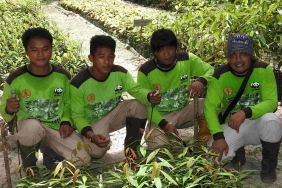 SELAMATKAN HABITAT GAJAH