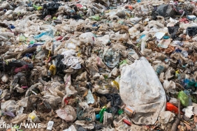 HARI PEDULI SAMPAH NASIONAL