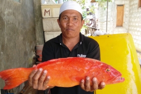 PENANGKAPAN IKAN RAMAH LINGKUNGAN