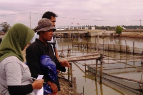 PRODUSEN UDANG