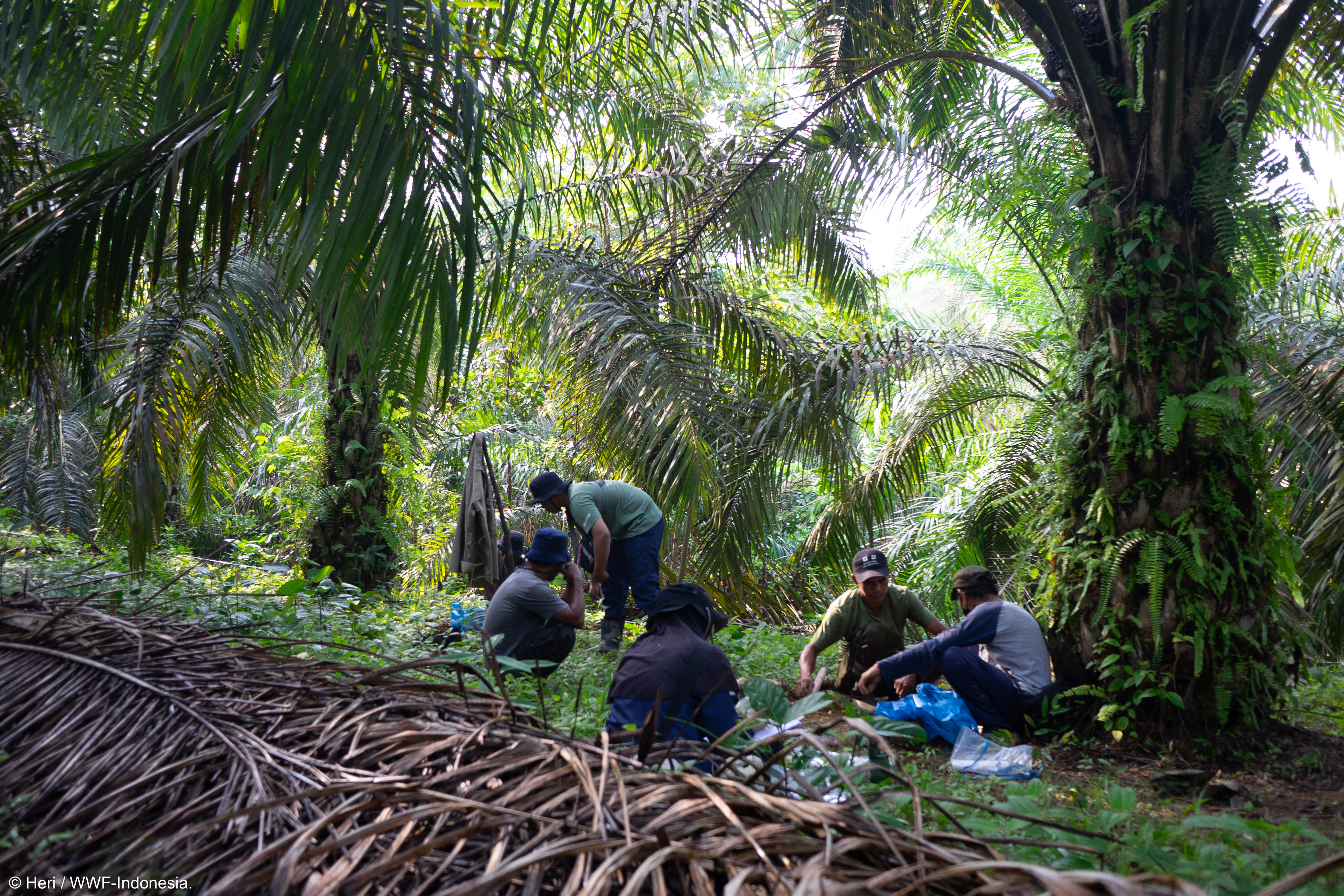 Sustainable Production