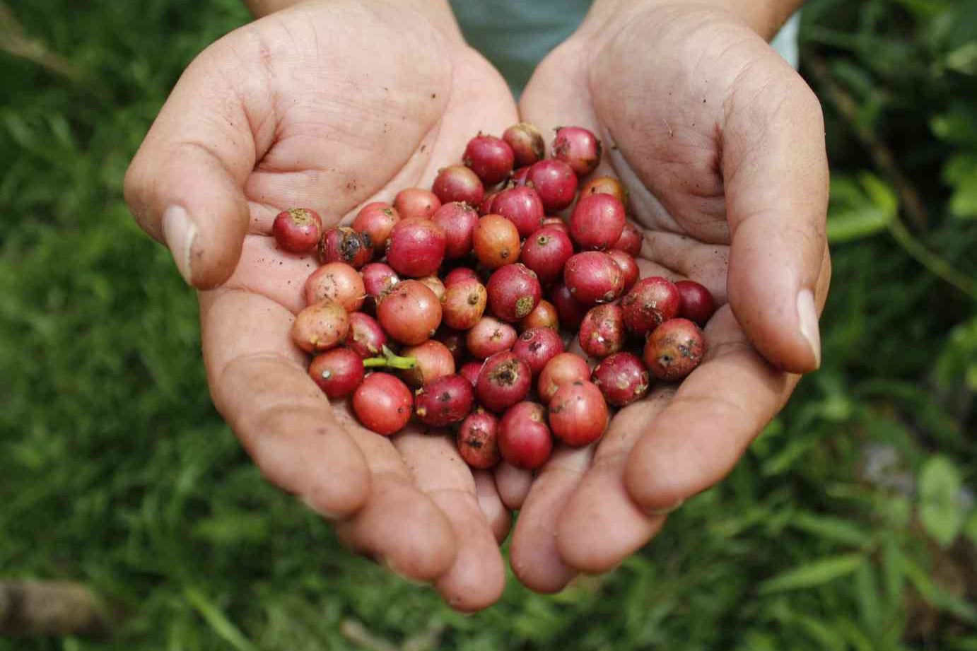 Sustainable Production