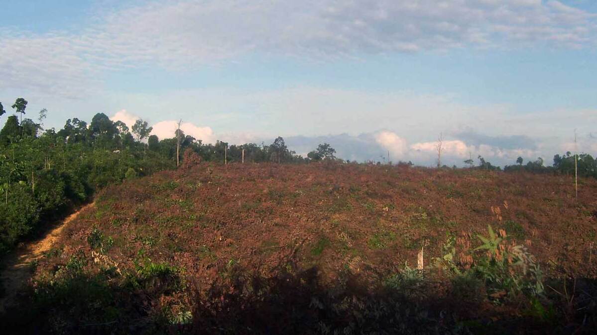 HARI LAHAN BASAH SEDUNIA