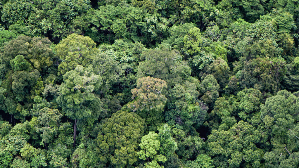 WWF-INDONESIA DAN ROYAL LESTARI UTAMA