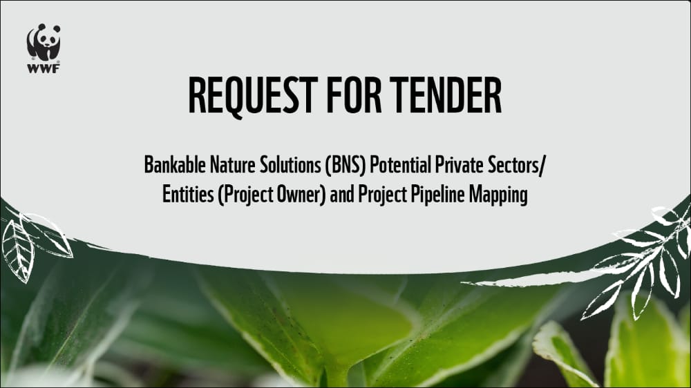 REQUEST FOR TENDER