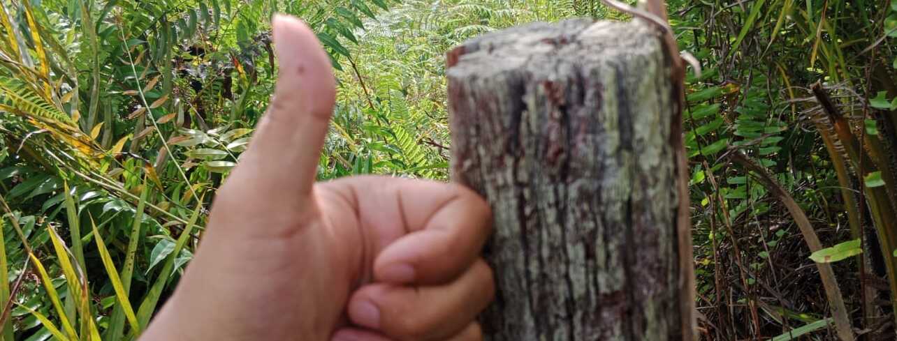 Buku Panduan Produk Kayu