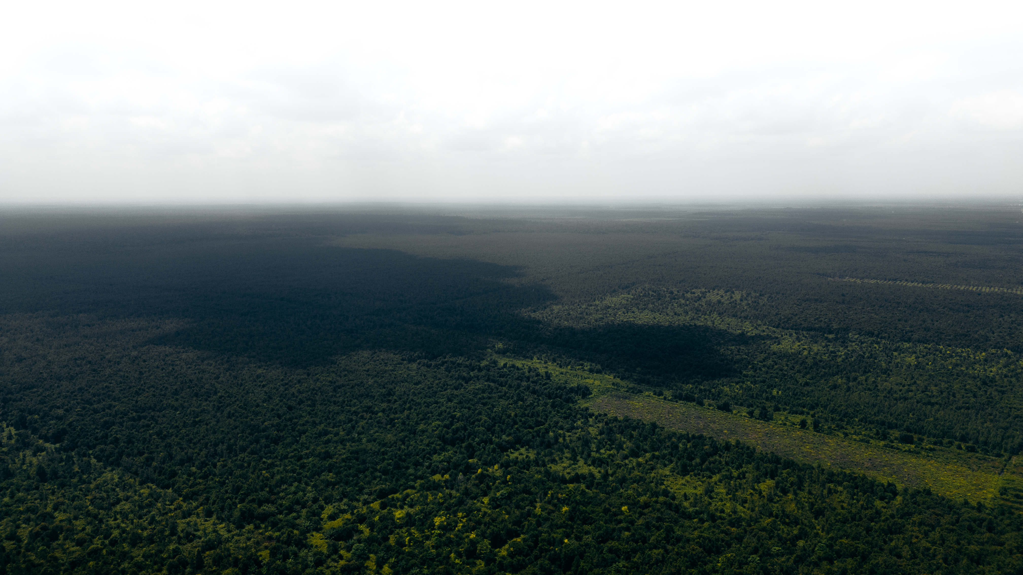 © WWF-Indonesia / Julian Hahne