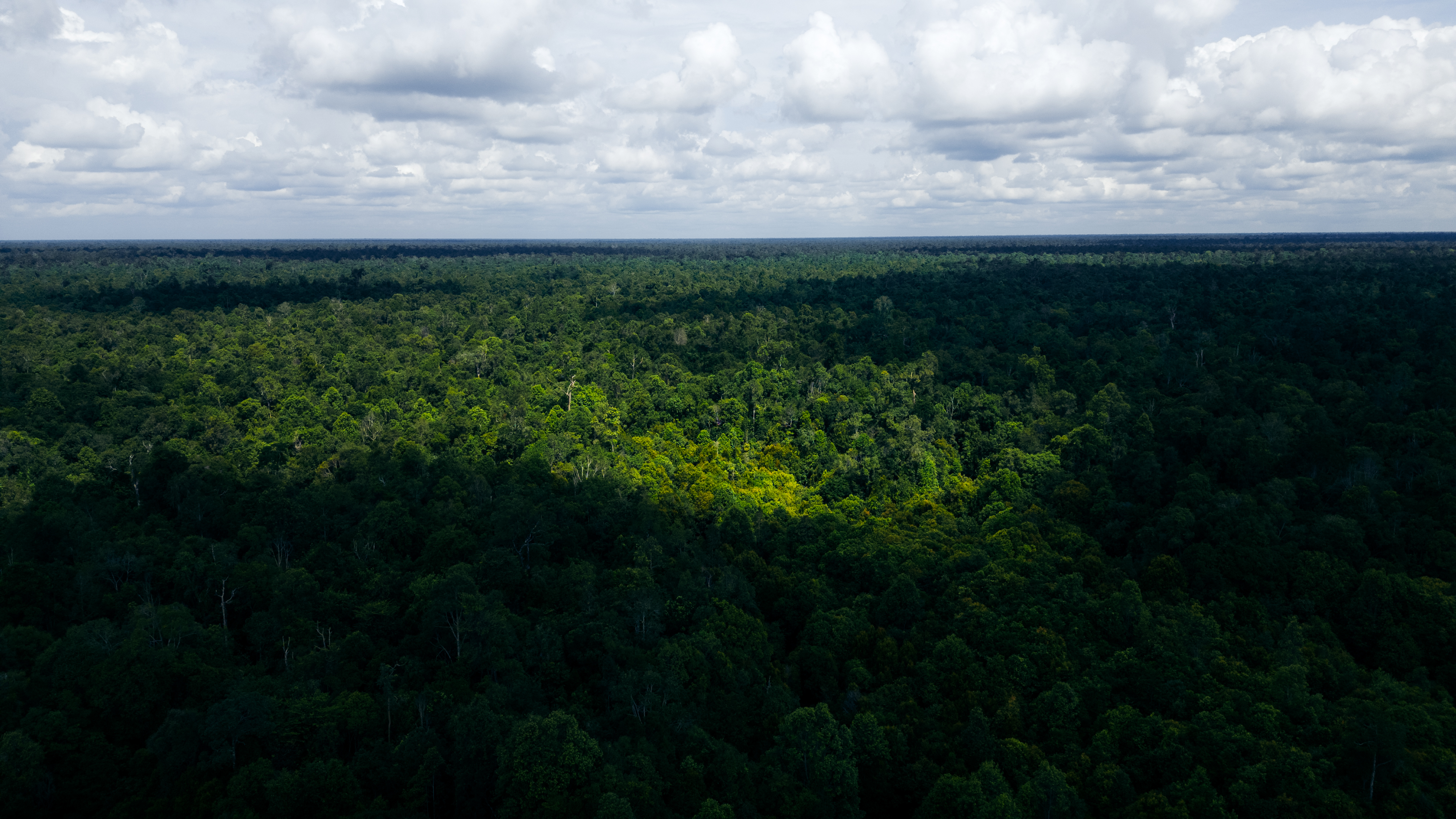 © WWF-Indonesia / Julian Hahne